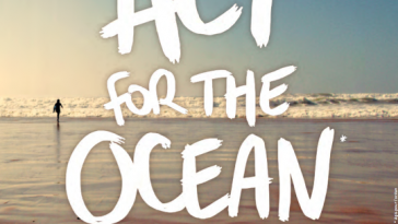Surfrider Aquitaine