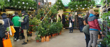 Le collectif Plantes pour tous de retour à Bordeaux