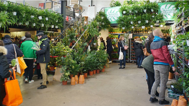 PLANTES POUR TOUS : VOS PLANTES  PARTIR DE 2  BORDEAUX !
