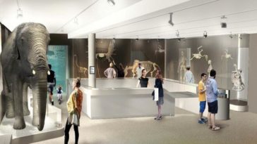 Les Bons Plans à Bordeaux : Réouverture du Museum de Bordeaux le 31 mars 2019-home