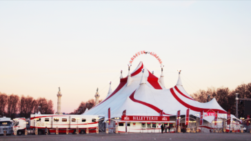 Les bons plans à Bordeaux présentent : le cirque Arlette Gruss fête ses 35 ans à Bordeaux, avec des représentations pendant les vacances de Noël !3