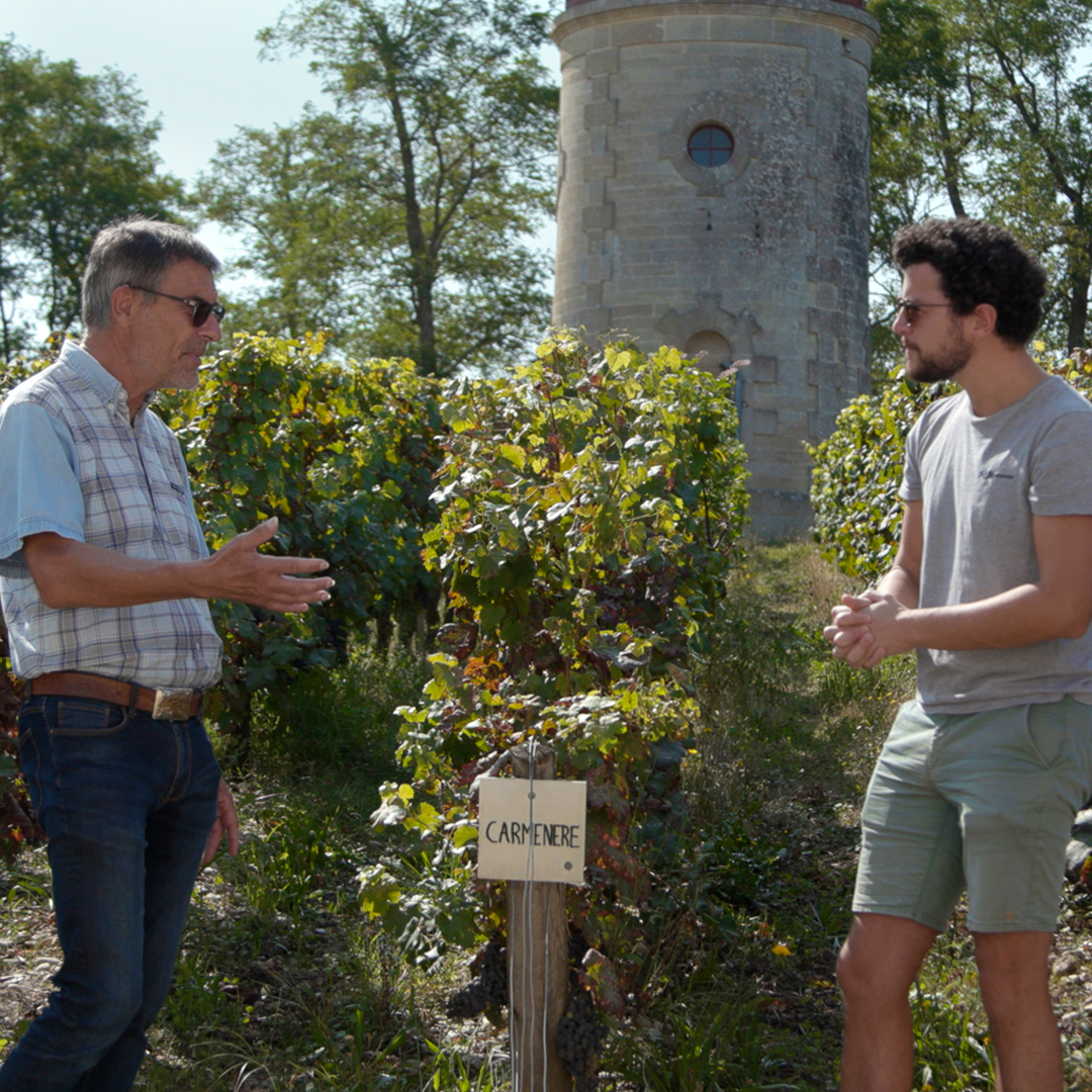 portes-ouvertes-chateaux-medoc-visite-vigne