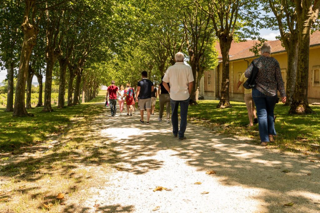 les-bons-plans-bordeaux-journee-portes-ouvertes-medoc3