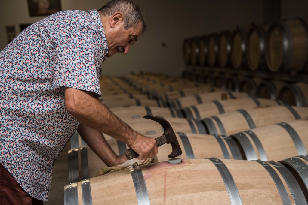 _DSC3409 clos Bourgelat