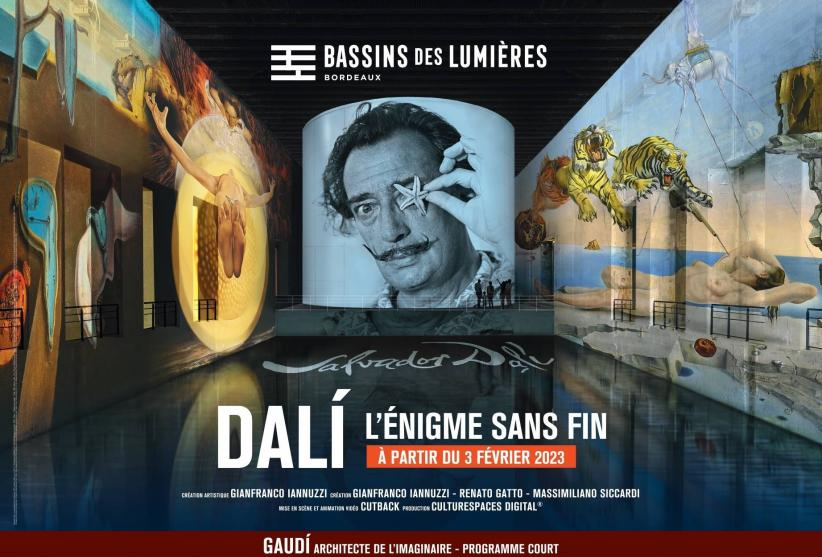 dali_bassin-lumieres_23b_1 1