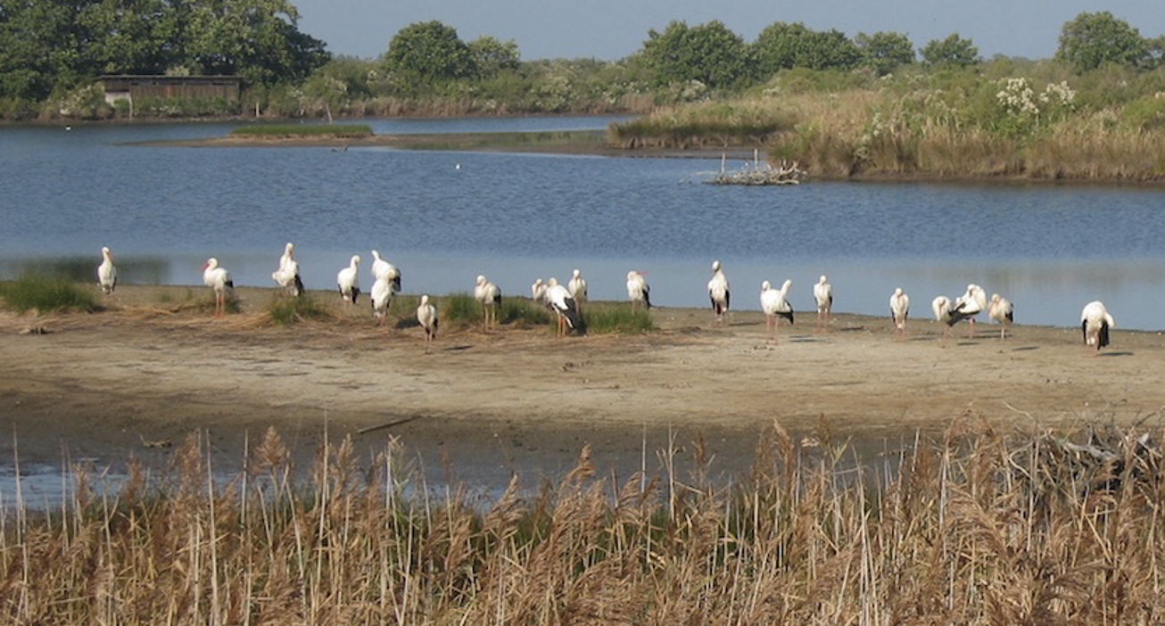 Que visiter en Gironde ? 7