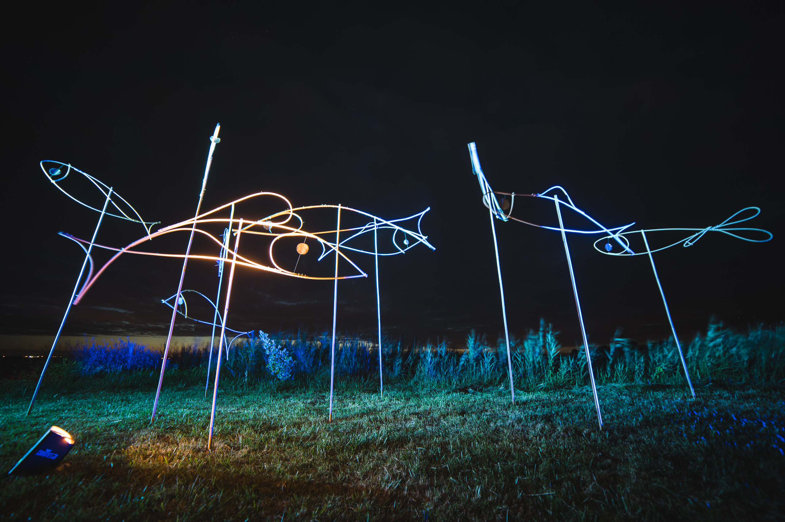 Installation-poissons---territoires-imaginaires.fr---Mogri