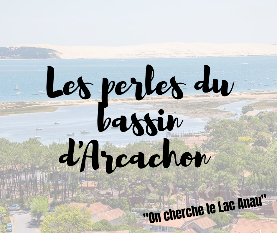 Les perles du bassin d'Arcachon