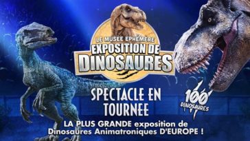 Le Musée Éphémère Exposition Dinosaures à Bordeaux