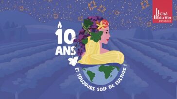 cité-vin-lbp-article