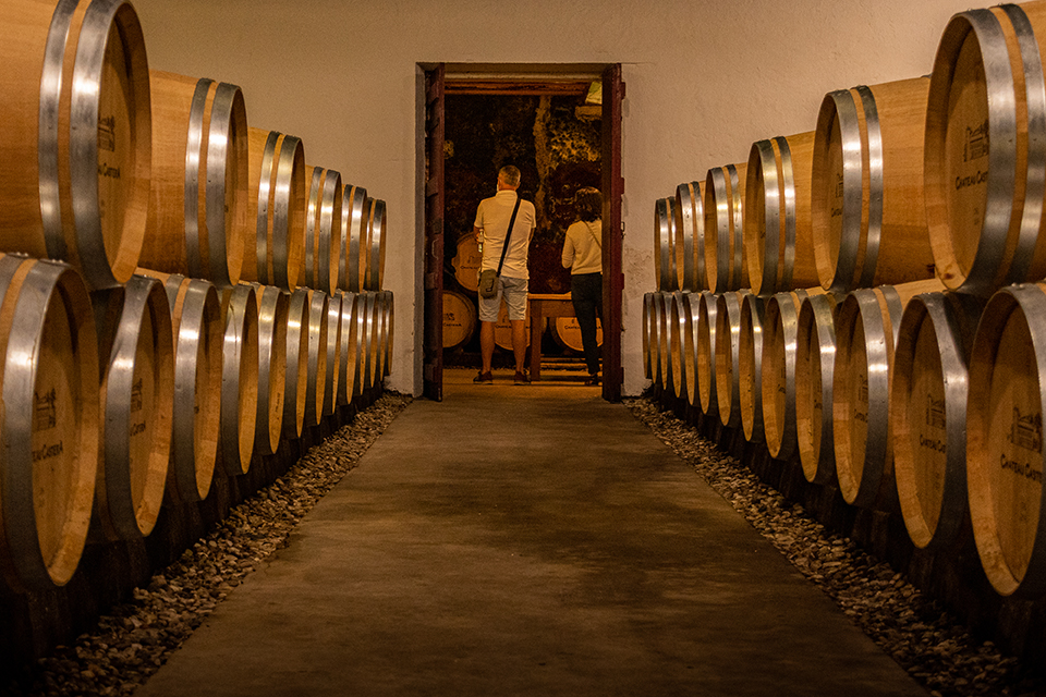 lbp-article-3ans-medoc-dégustation-article