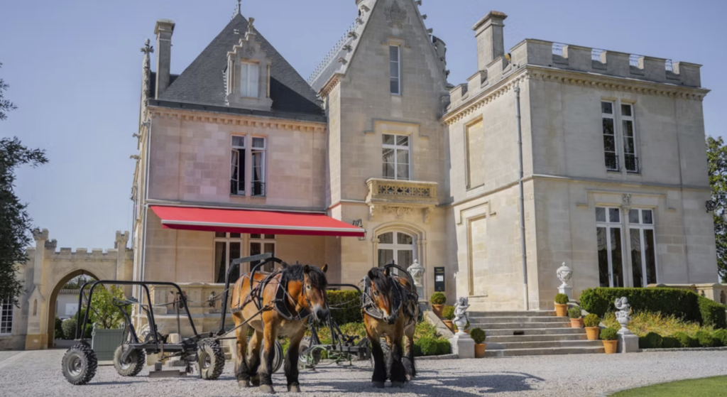 chateau-pape-clement-lbp.png