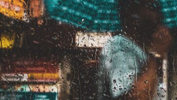 rahulpandit-rain-4806609_1920